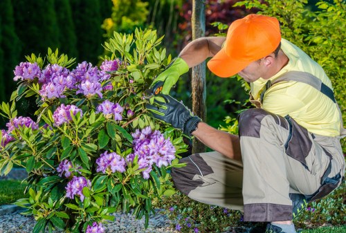 Catford tree surgeons maintaining safety with equipment and planning