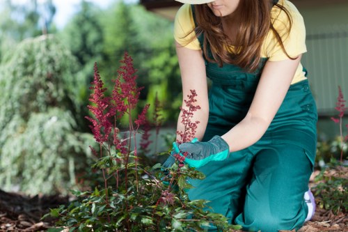 PCI-compliant payment options for tree surgery services