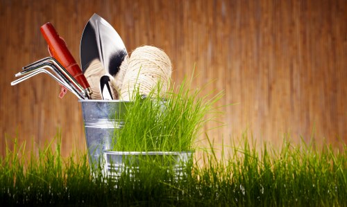 Local tree inspection service for homes and businesses in Catford